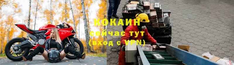 купить закладку  Ишим  COCAIN VHQ 