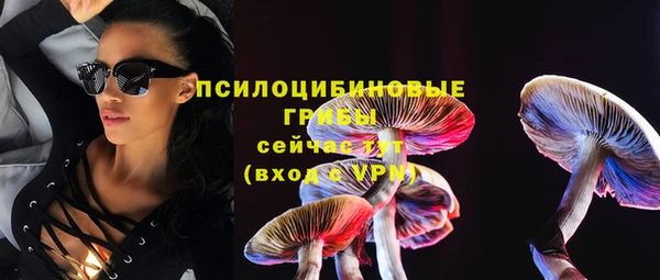 гашик Новокубанск