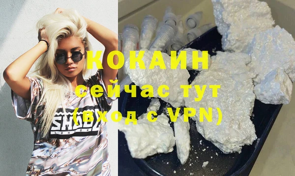 бошки Новозыбков