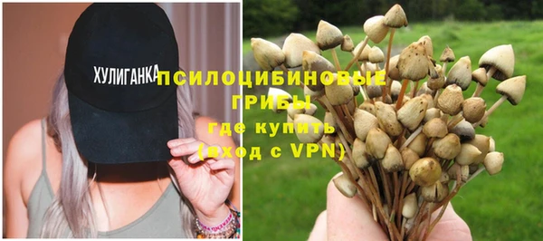 бошки Новозыбков