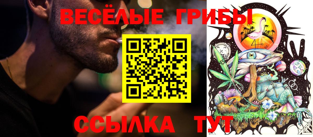 Галлюциногенные грибы мухоморы Ишим